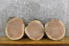 Thumbnail for 3- Rustic Round Cut Live Edge Black Walnut Craft Pack Wood Slabs 14737-14739