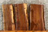 Thumbnail for 3- Live Edge Black Walnut Wall Shelves/ Side Table Tops 14752-14754