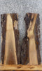 Thumbnail for 2- Live Edge Black Walnut Wall Shelf/End/Accent Table Top Slabs 1522-1523