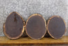 Thumbnail for 3- Round Cut Live Edge Black Walnut Rustic Craft Pack Wood Slabs 15520-15522