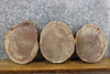 Thumbnail for 3- Round Cut Live Edge Black Walnut Rustic Craft Pack Wood Slabs 15520-15522