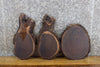 Thumbnail for 3- Rustic Live Edge Black Walnut Round/Oval Cut Craft Pack Slabs 15536-15538