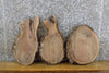 Thumbnail for 3- Rustic Live Edge Black Walnut Round/Oval Cut Craft Pack Slabs 15536-15538