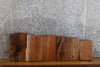 Thumbnail for 6- Rustic Kiln Dried Black Walnut Craft Pack/Lumber Boards 15563-15564