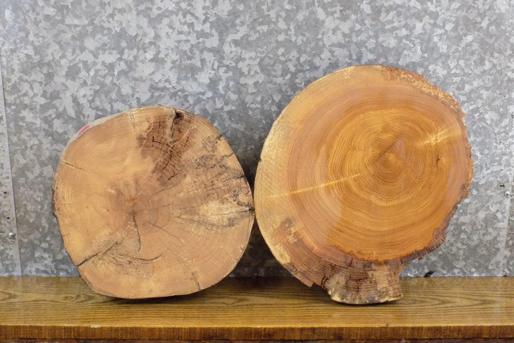 2- Rustic Round Cut Live Edge Ash DIY Charcuterie Boards/Slabs 15565-15566