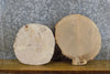 Thumbnail for 2- Rustic Round Cut Live Edge Ash DIY Charcuterie Boards/Slabs 15565-15566