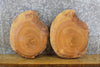 Thumbnail for 2- Live Edge Rustic Round Cut Ash DIY Charcuterie Boards/Slabs 15571-15572