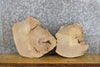 Thumbnail for 2- Round Cut Salvaged Live Edge Elm Epoxy Project/Craft Pack 15579-15580