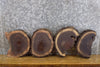 Thumbnail for 4- Rustic Live Edge Black Walnut Round Cut Craft Pack Slabs 15583-15584