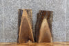 Thumbnail for 2- Live Edge Black Walnut Taxidermy Mount/End Table Top Slabs 1877-1878