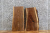 Thumbnail for 2- Live Edge Black Walnut Taxidermy Mount/End Table Top Slabs 1877-1878