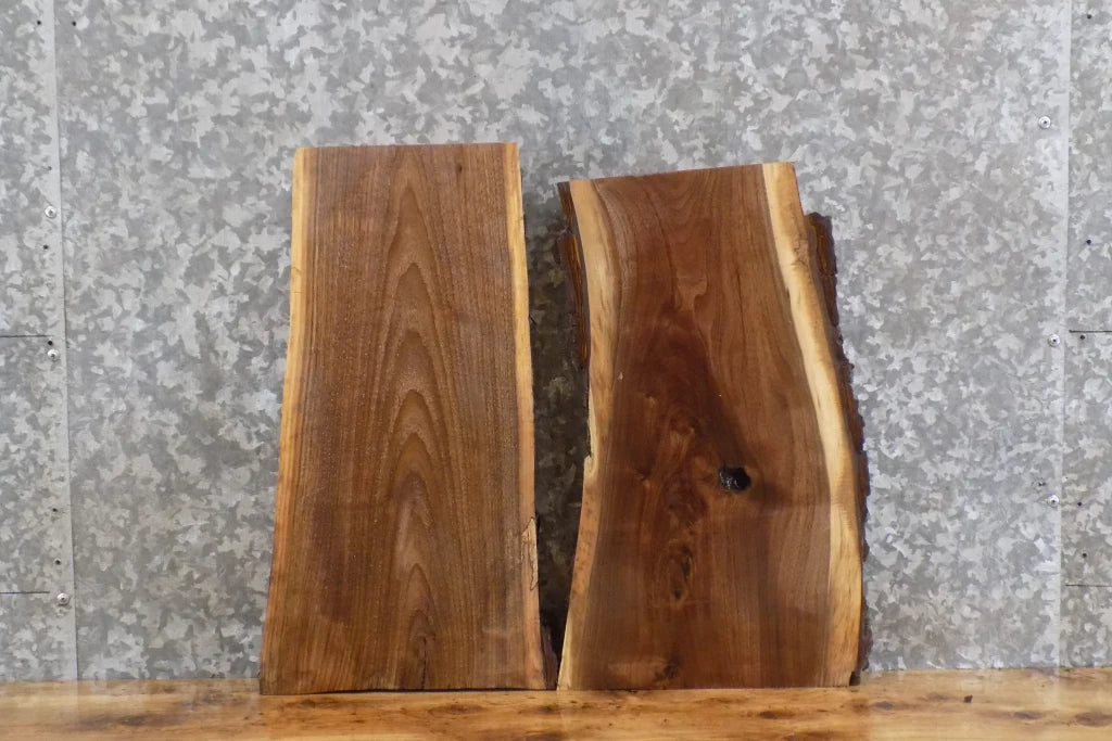 2- Live Edge Black Walnut Taxidermy Mount/End Table Top Slabs 1877-1878