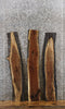 Thumbnail for 3- Live Edge Black Walnut Charcuterie DIY/Taxidermy Board Slabs 1580-1582