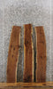 Thumbnail for 3- Live Edge Black Walnut Charcuterie DIY/Taxidermy Board Slabs 1580-1582