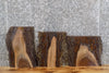 Thumbnail for 3- Live Edge Black Walnut Side Table Top/Taxidermy Mount Slabs 1863-1865