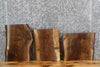 Thumbnail for 3- Live Edge Black Walnut Side Table Top/Taxidermy Mount Slabs 1863-1865