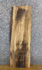 Thumbnail for Spalted Maple Kiln Dried Lumber Board/Floating Vanity Slab 16808