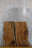 Thumbnail for 2- Live Edge Bark Black Walnut Rustic Table Top Slabs CLOSEOUT 1778-1779