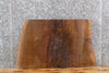 Thumbnail for Live Edge Reclaimed Black Walnut End/Accent Table Top Slab 13292