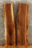 Thumbnail for 2- Black Walnut Live Edge Wall Shelves 1804,1810