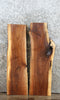 Thumbnail for 2- Live Edge Black Walnut Wall Shelves/Side Table Tops 1821-1822