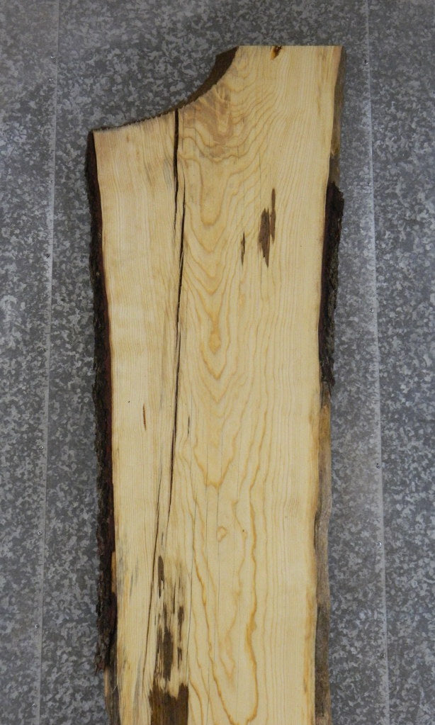 Live Edge Bark Salvaged Pine Long Bar/Table Top Slab 20066