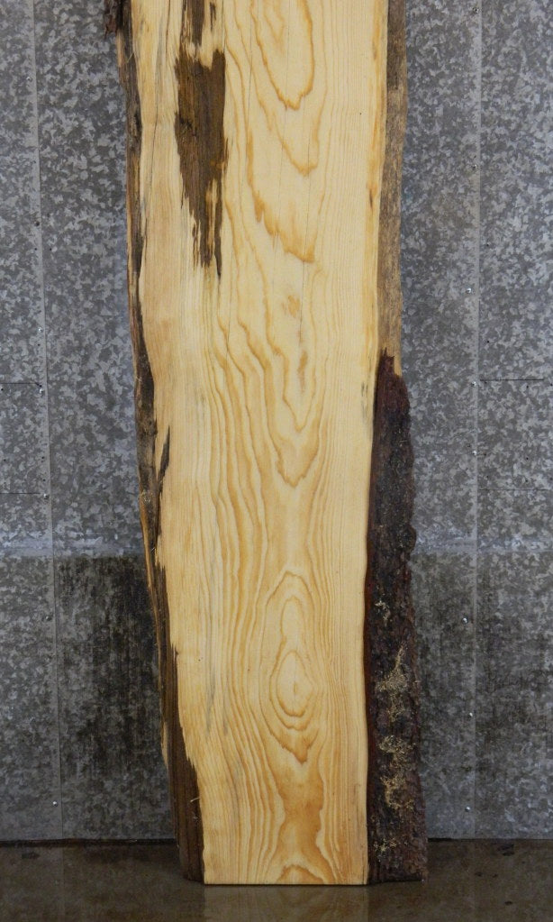 Live Edge Bark Salvaged Pine Long Bar/Table Top Slab 20066