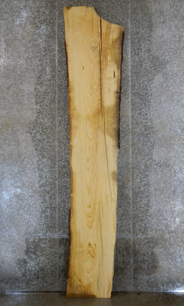 Live Edge Bark Salvaged Pine Long Bar/Table Top Slab 20066