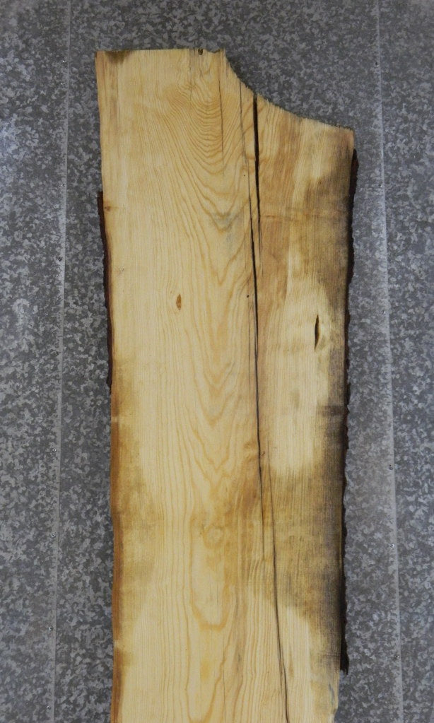 Live Edge Bark Salvaged Pine Long Bar/Table Top Slab 20066