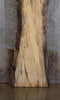 Thumbnail for Rustic Live Edge Spalted Maple Reception Table/Bar Top Slab 20166