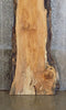 Thumbnail for Spalted Maple Salvaged Reception Table Top Slab CLOSEOUT 20170