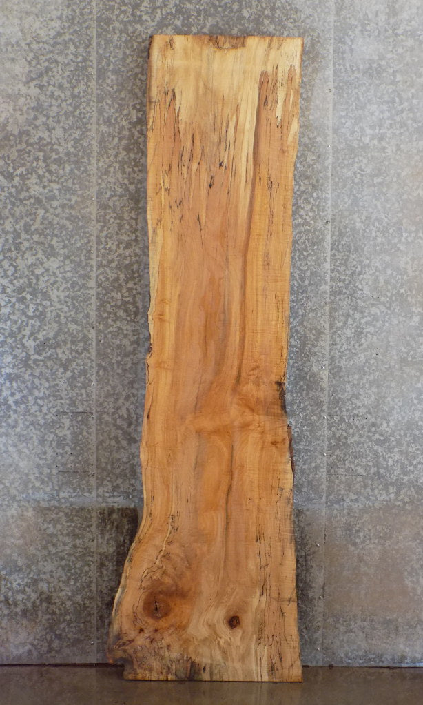 Spalted Maple Salvaged Reception Table Top Slab CLOSEOUT 20170