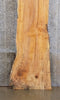 Thumbnail for Spalted Maple Salvaged Reception Table Top Slab CLOSEOUT 20170