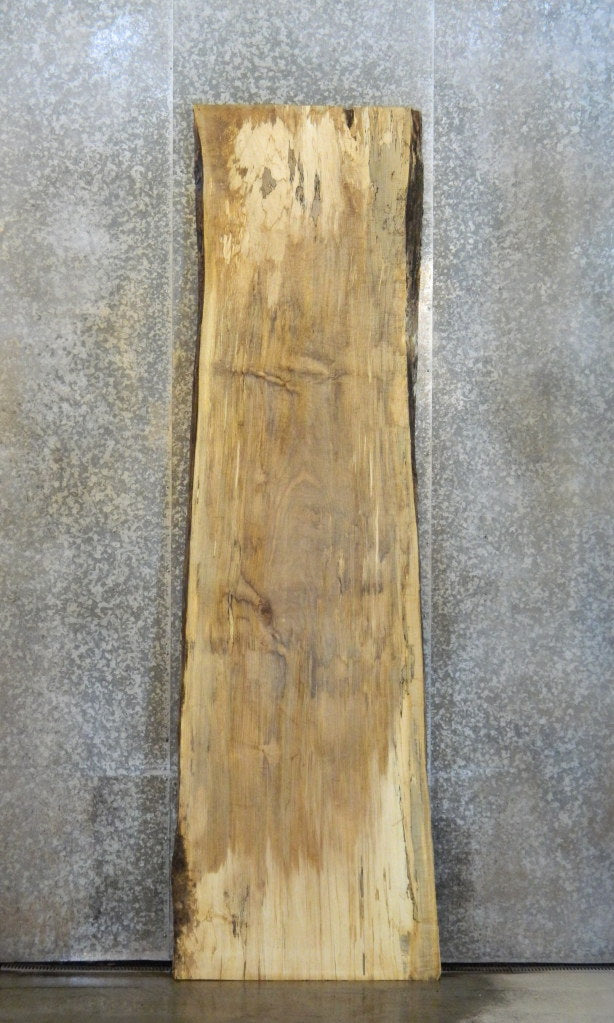 Spalted Maple Live Edge Bar/Table Top Wood Slab CLOSEOUT 20183