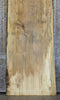 Thumbnail for Spalted Maple Live Edge Bar/Table Top Wood Slab CLOSEOUT 20183