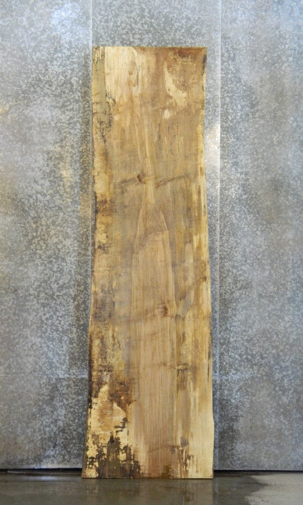 Spalted Maple Live Edge Bar/Table Top Wood Slab CLOSEOUT 20183