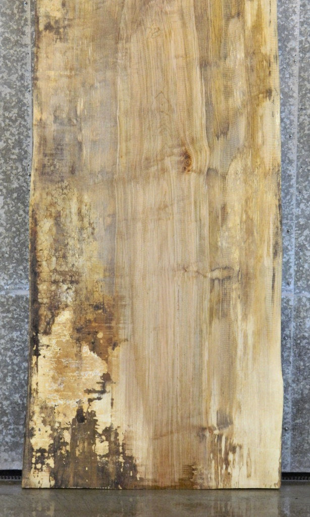 Spalted Maple Live Edge Bar/Table Top Wood Slab CLOSEOUT 20183