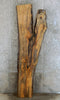 Thumbnail for Rustic Live Edge Spalted Maple Bar Top Wood Slab CLOSEOUT 20243