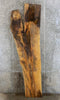 Thumbnail for Rustic Live Edge Spalted Maple Bar Top Wood Slab CLOSEOUT 20243