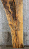 Thumbnail for Rustic Live Edge Spalted Maple Bar Top Wood Slab CLOSEOUT 20243