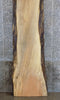 Thumbnail for Salvaged Live Edge Spalted Maple Bar/Table Top Wood Slab 20270