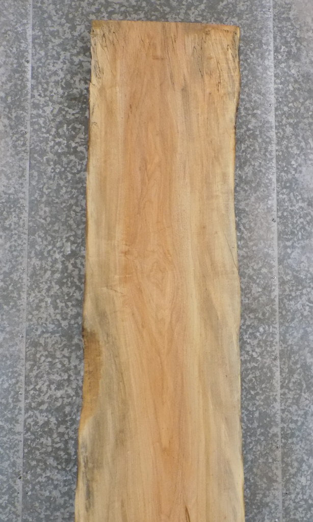 Salvaged Live Edge Spalted Maple Bar/Table Top Wood Slab 20270