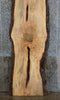 Thumbnail for Salvaged Live Edge Maple Office Desk/Kitchen Table Top Slab 20277