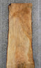 Thumbnail for Salvaged Live Edge Maple Office Desk/Kitchen Table Top Slab 20277