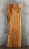 Thumbnail for Maple Live Edge Conference Table Top/Bar Top Slab 20403