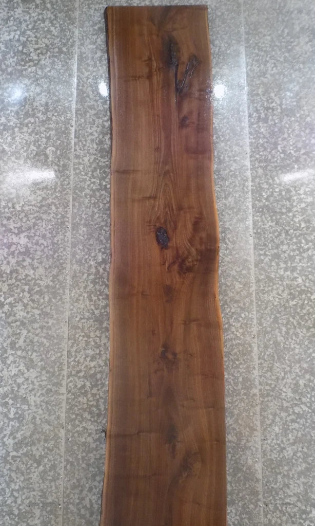 Live Edge Black Walnut Kitchen Counter/Bar Top Slab 20459