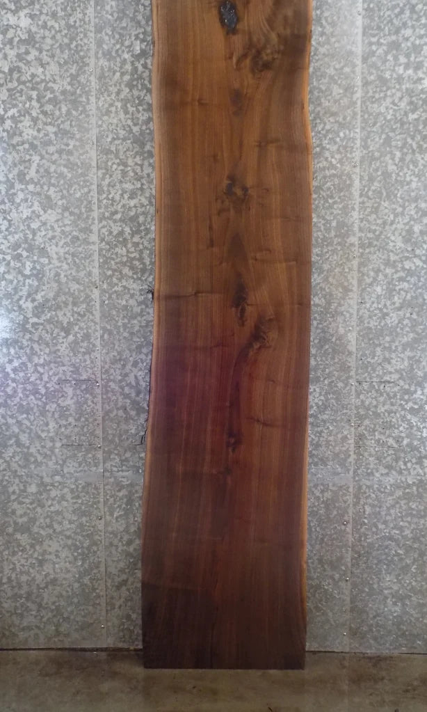 Live Edge Black Walnut Kitchen Counter/Bar Top Slab 20459