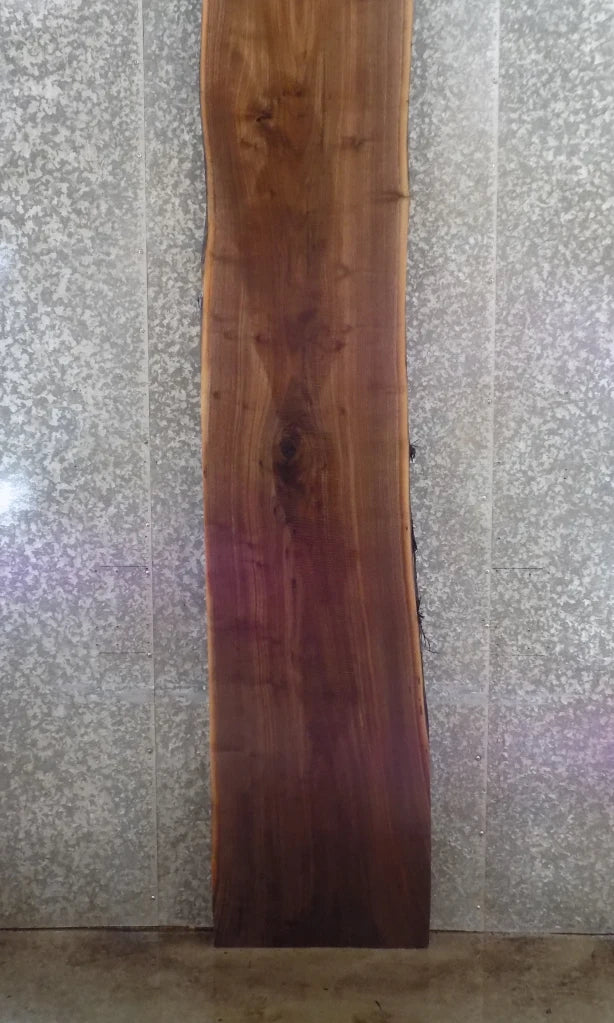 Live Edge Black Walnut Kitchen Counter/Bar Top Slab 20459