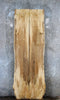 Thumbnail for 2- Bookmatched Live Edge Maple Conference Table Top Slabs 20475-20476