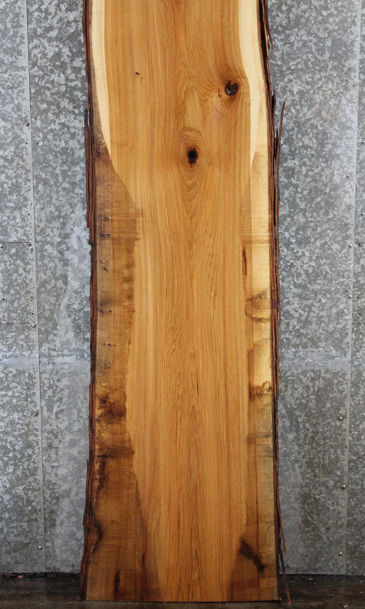 Live Edge Hickory Bar Top Slab 20551